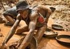 RDC : l'or de l'Ituri pillé via l'Ouganda (rapport de l'ONU)