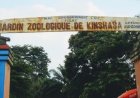 Kinshasa : un marché moderne et un parking prévus sur le site de l'actuel jardin zoologique