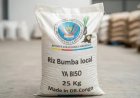 RDC : le gouvernement annonce le lancement officiel du projet " Riz Bumba " pour renforcer la production locale 