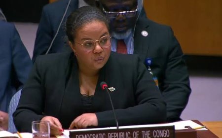 La RDC prend la présidence tournante du Conseil de sécurité des Nations unies