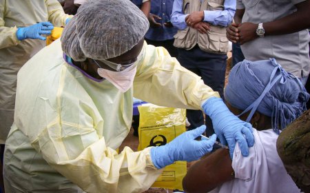 Ebola en RDC : début des essais cliniques pour tester un potentiel traitement 