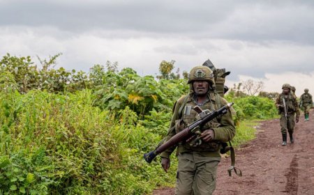 Guerre dans l’Est : le gouverneur a.i. du Sud-Kivu alerte sur la présence de mercenaires français aux côtés de l’AFC/M23