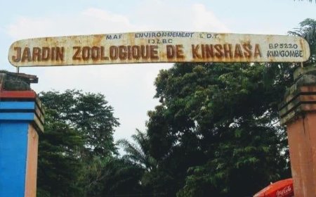 Kinshasa : un marché moderne et un parking prévus sur le site de l'actuel jardin zoologique