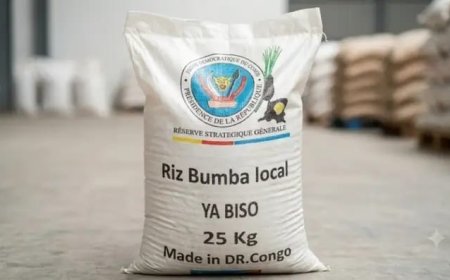 RDC : le gouvernement annonce le lancement officiel du projet " Riz Bumba " pour renforcer la production locale 