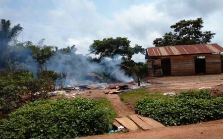 Ituri : au moins 16 civils tués dans une attaque attribuée aux ADF à Mambasa