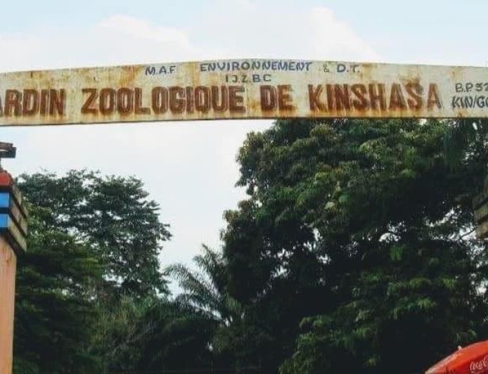Kinshasa : un marché moderne et un parking prévus sur le site de l'actuel jardin zoologique