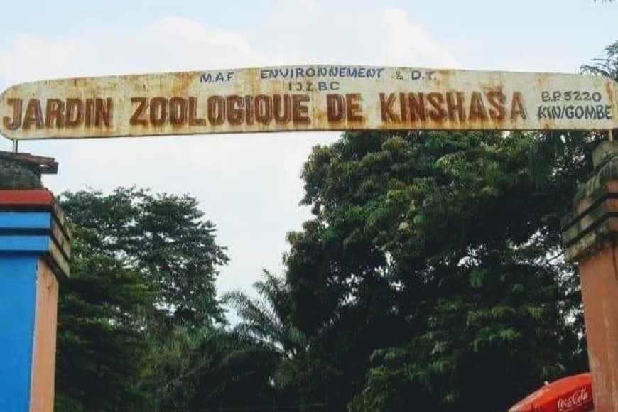 Kinshasa : un marché moderne et un parking prévus sur le site de l'actuel jardin zoologique