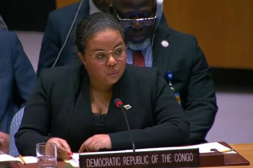 La RDC prend la présidence tournante du Conseil de sécurité des Nations unies