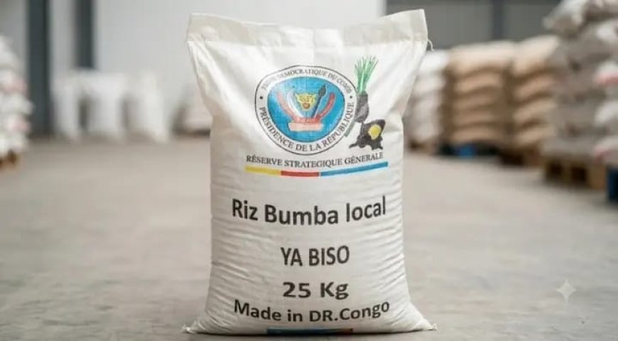 RDC : le gouvernement annonce le lancement officiel du projet " Riz Bumba " pour renforcer la production locale 