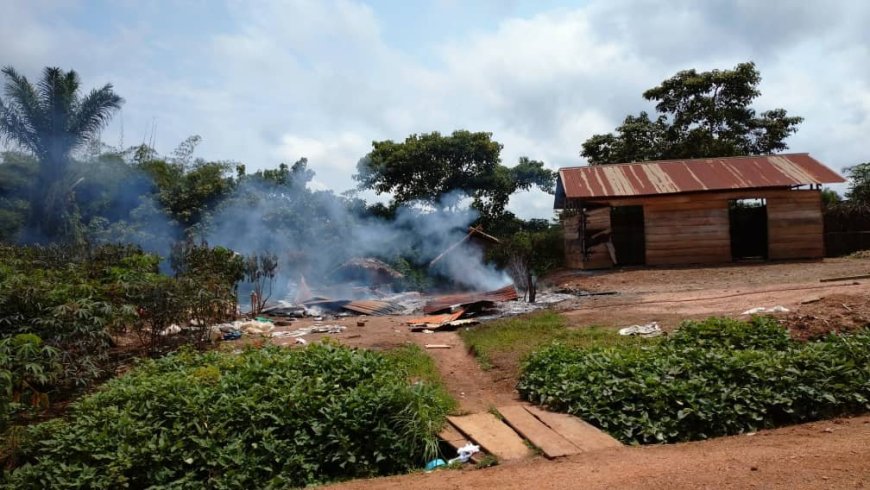 Ituri : au moins 16 civils tués dans une attaque attribuée aux ADF à Mambasa