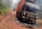 Ituri : 13 civils tués dans une attaque attribuée aux ADF près de Mambasa