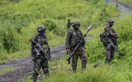 Guerre dans l'Est : le mécanisme de vérification du cessez-le-feu entre Kinshasa et l'AFC/M23 toujours bloqué après l'expulsion d'un officier des FARDC à Goma