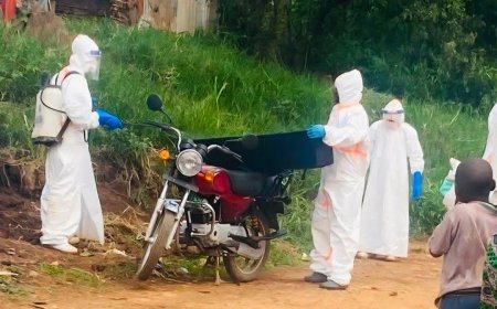 Ebola : la RDC franchit la barre de 2 000 morts