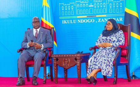 RDC - Tanzanie : Félix Tshisekedi et Samia Suluhu passent en revue la coopération entre Kinshasa et Dodoma
