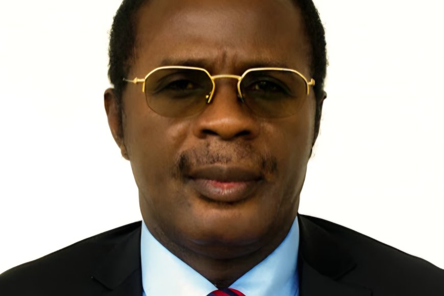 ESURSI : Théodore Ngoy Ilunga parmi les 3 nouveaux membres du Comité de gestion de l’UPN