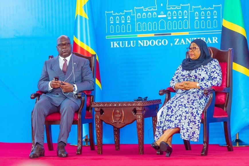 RDC - Tanzanie : Félix Tshisekedi et Samia Suluhu passent en revue la coopération entre Kinshasa et Dodoma