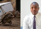 RDC : Dr Hervé Mutinzumu alerte sur les conséquences néfastes de « Mpuku amemi congélateur » sur la jeunesse