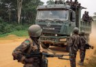 Ituri : les FARDC lancent une opération contre la CRP après l’attaque d’un site minier à Nyampala