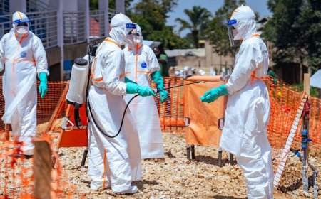 Ebola : 6 843 cas confirmés, 3 310 décès et 1 611 personnes guéries