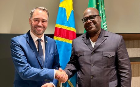 Coopération : la situation dans l'Est du pays et les efforts de médiation en cours au cœur des échanges entre Félix Tshisekedi et Maxime Prévot