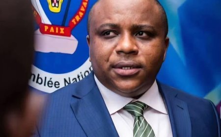 RDC : Eric Ngalula Ilunga appelle la population à participer à la marche de l’UDPS du 22 septembre pour soutenir la loi sur le référendum