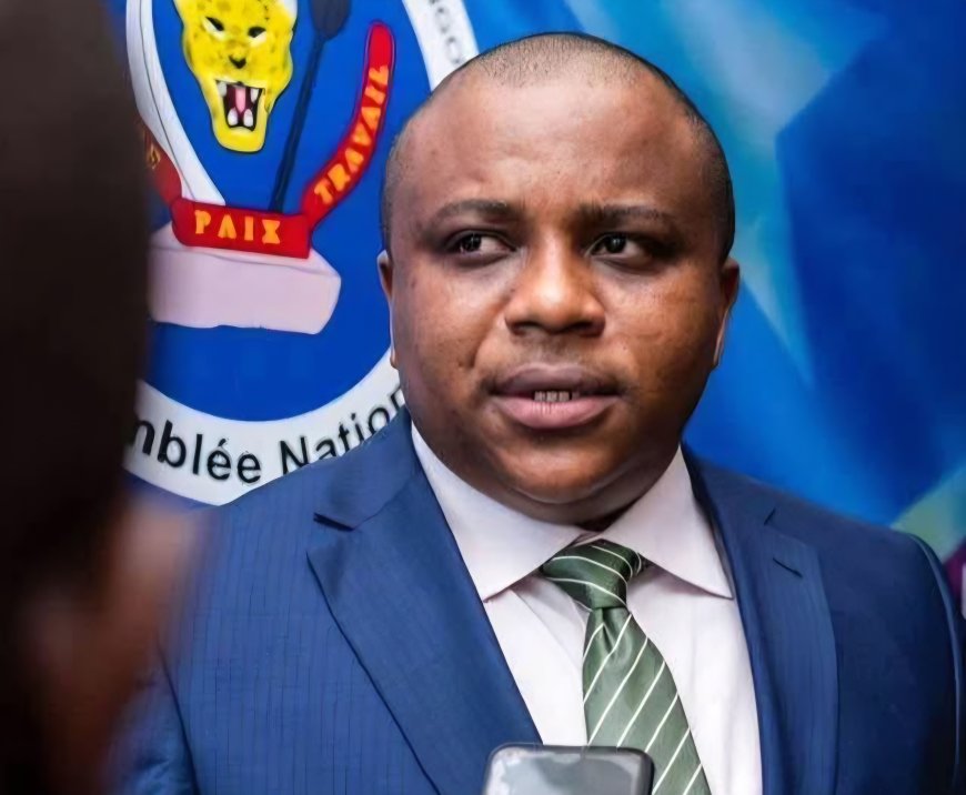 RDC : Eric Ngalula Ilunga appelle la population à participer à la marche de l’UDPS du 22 septembre pour soutenir la loi sur le référendum