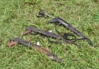Sud-Kivu : les FARDC annoncent la reddition de 17 combattants de la coalition AFC-M23/Twiraneho à Fizi