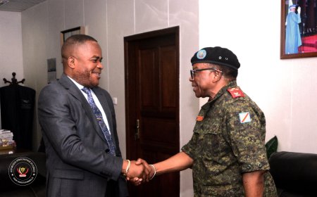 RDC : le Premier président a.i. de la Haute Cour militaire reçu par Dieudonné Kamuleta