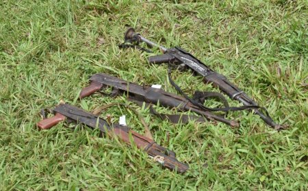 Sud-Kivu : les FARDC annoncent la reddition de 17 combattants de la coalition AFC-M23/Twiraneho à Fizi