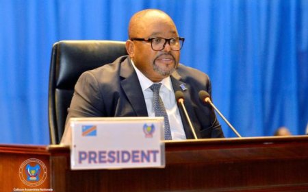 RDC : l’Assemblée nationale veut inventorier les écoles et centres de santé construits par les députés mais non pris en charge par l’État