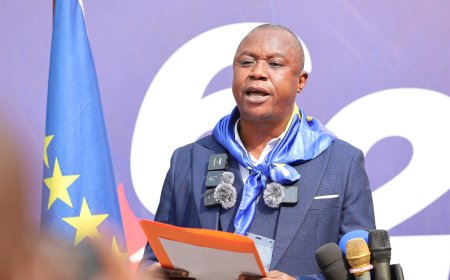 RDC : le PALU demande à Joseph Kabila de renoncer aux armes