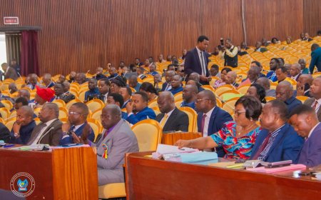 RDC : L’Assemblée nationale examine en nouvelle délibération la proposition de loi sur le référendum ce vendredi 23 octobre