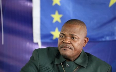PALU : Célestin Ngoma exclu définitivement du parti pour son allégeance au Front pour la Refondation de la Nation