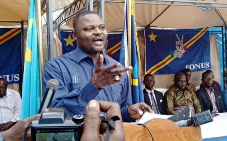 [Tribune] : « Félix Tshisekedi : la constitution n’est pas une affaire d’amour, mais de respect de la loi ! », Emery Okundji Ndjovu