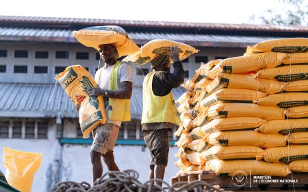 RDC : le ministère de l’Économie nationale subventionne la farine de maïs à 20 000 FC le sac à Mbuji-Mayi