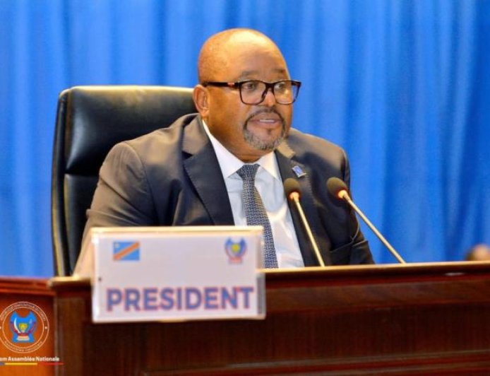 RDC : l’Assemblée nationale veut inventorier les écoles et centres de santé construits par les députés mais non pris en charge par l’État