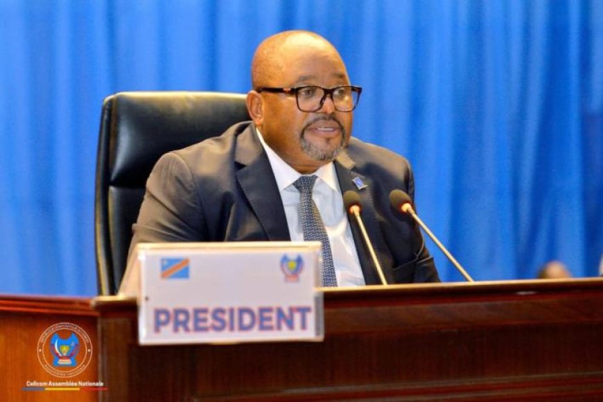 RDC : l’Assemblée nationale veut inventorier les écoles et centres de santé construits par les députés mais non pris en charge par l’État