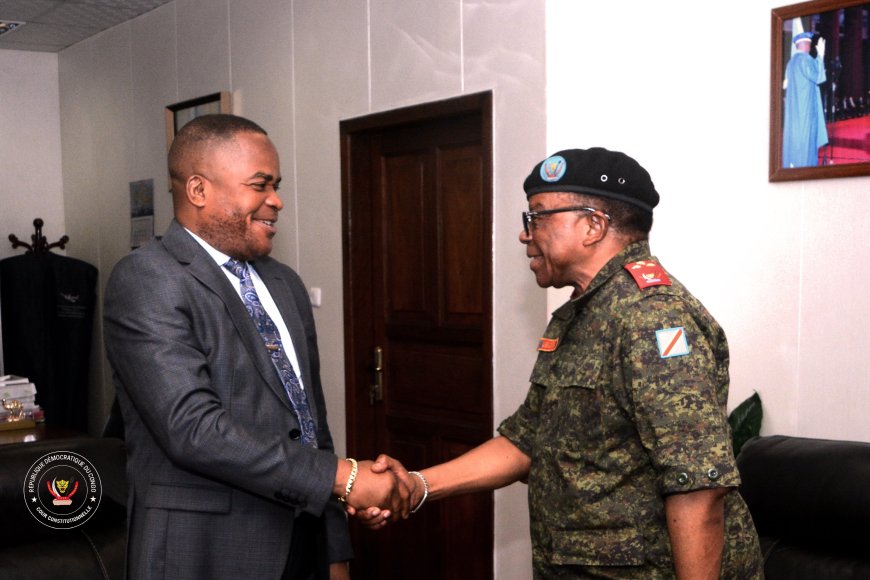 RDC : le Premier président a.i. de la Haute Cour militaire reçu par Dieudonné Kamuleta