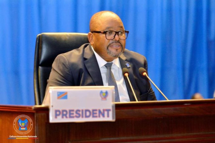 RDC : l’Assemblée nationale veut inventorier les écoles et centres de santé construits par les députés mais non pris en charge par l’État