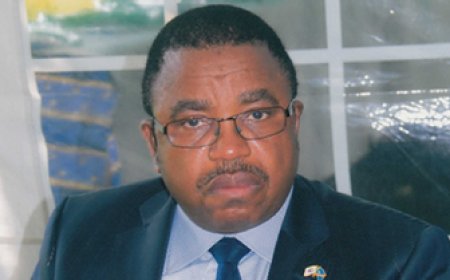 Affaire nébuleuse de Virunga : Emmanuel De Merode et Cosma Wilungula invités au parquet près la cour d’appel de Gombe