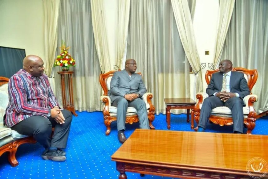 RDC : Après Bruxelles, Amsterdam et Kananga, Félix Tshisekedi séjourne à Nairobi (Kenya)