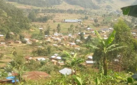 Ituri : Une attaque armée attribuée aux miliciens de CODECO fait 16 morts à Djugu