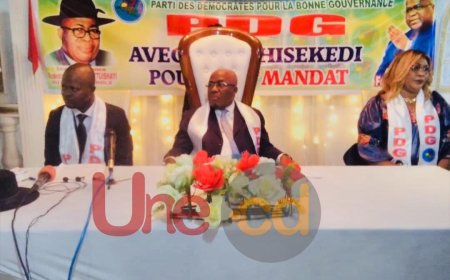 Politique : le PDG de Modeste Mutinga loue les efforts de Félix Tshisekedi sur les plans diplomatique, sécuritaire et politique