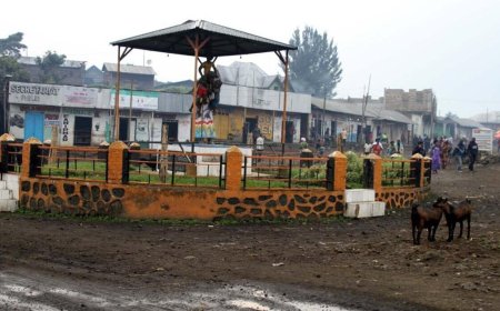 Guerre à l’Est : Le M23 prend le contrôle de la cité de Kitchanga après un « repli stratégique» des FARDC