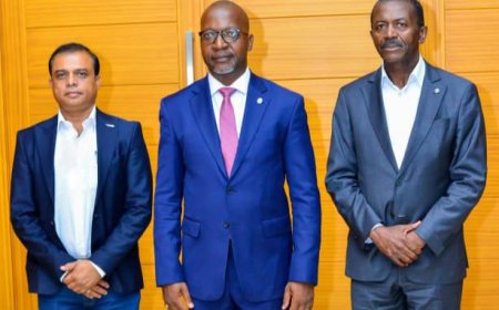 RDC : Des investisseurs sollicitent l'implication du premier vice-président du sénat pour l'électrification du Kasaï-Oriental