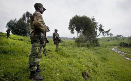 Tension RDC - Rwanda : Kigali alerte sur l’incursion des FARDC dans le District de Rusizi, 0 décès après échange des tirs