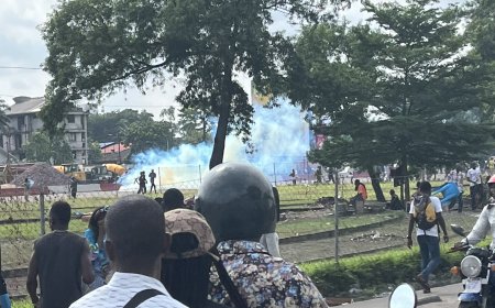 Marche de l’opposition : La police recourt au gaz lacrymogène pour calmer la tension entre les manifestants et quelques jeunes de l’UDPS