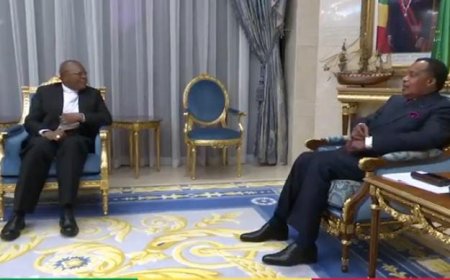 Confits Teke et Yaka : Ambongo chez Sassou Nguesso