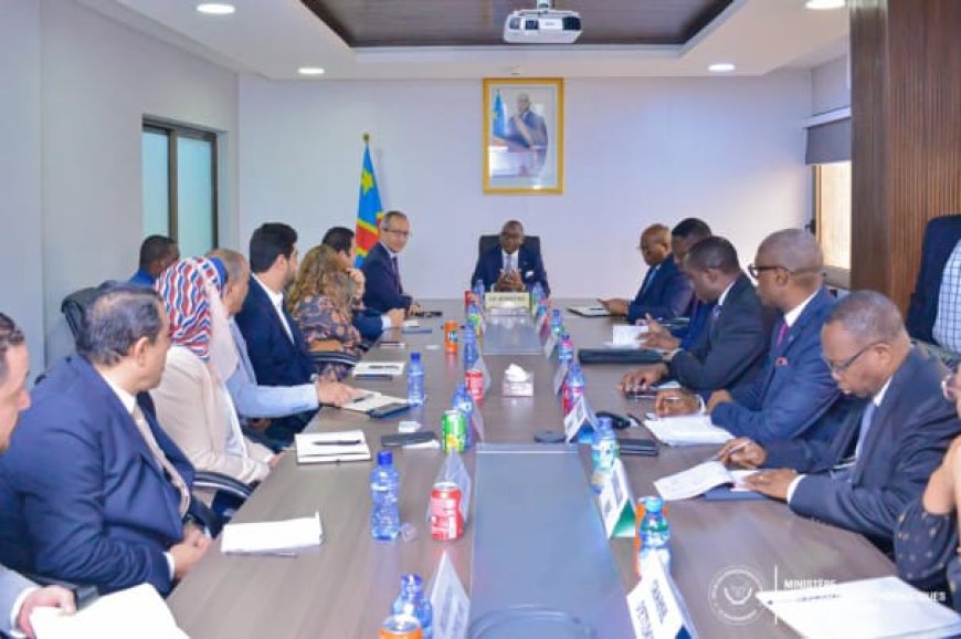 RDC-Egypte : Le ministre des ressources hydrauliques échange avec une délégation égyptienne sur la possibilité de desservir la RDC en électrique