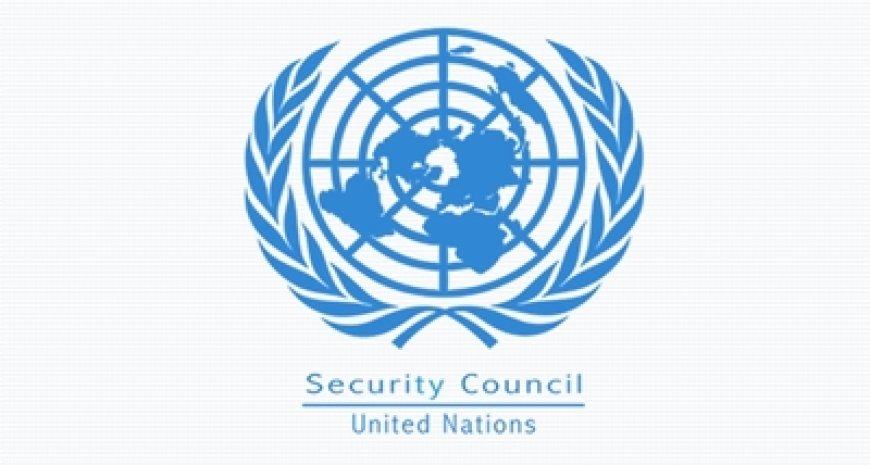 RDC: Une délégation du Conseil de sécurité de Nations Unies attendue à Kinshasa ce mercredi